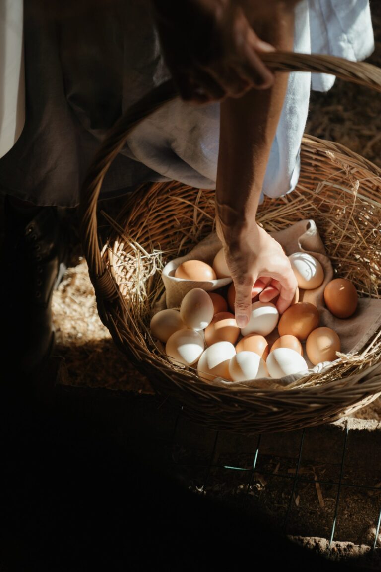 Essential Steps for Starting Your Homestead