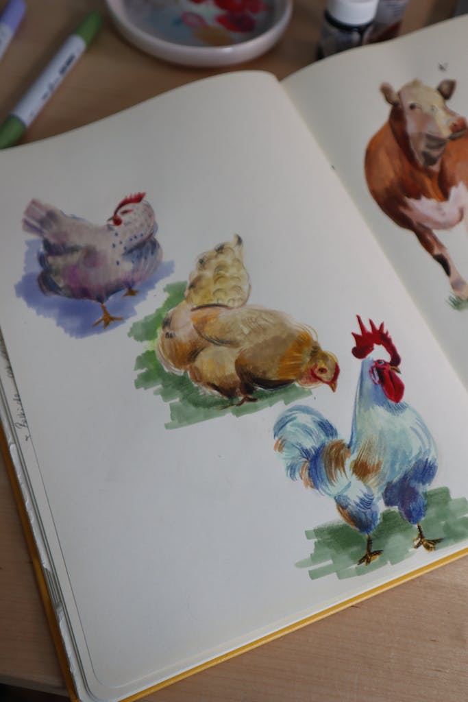 Open sketchbook showing watercolor illustrations of farm animals like chickens and a cow.