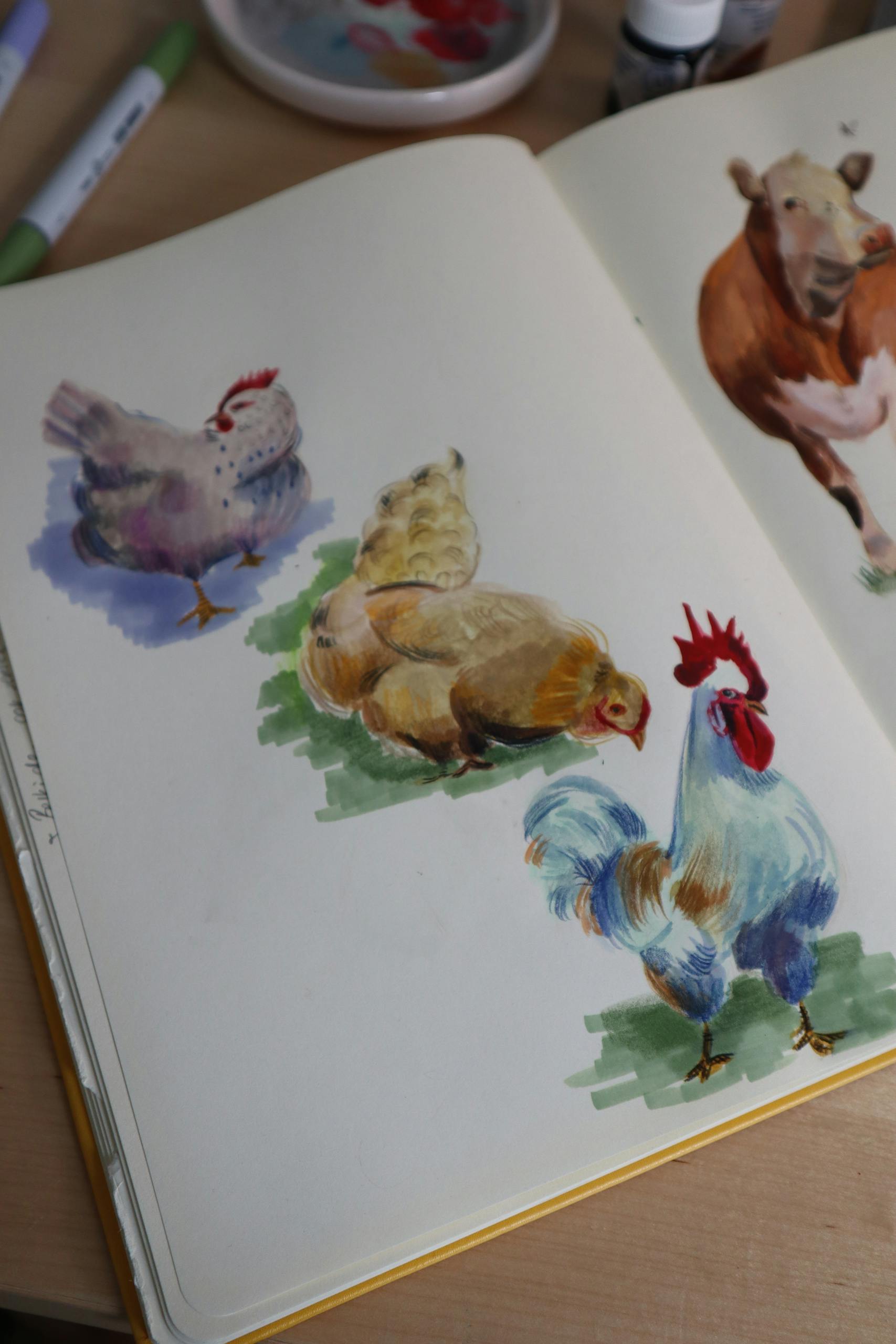 A Beginner’s Guide to Backyard Chicken Raising - Traditional Living