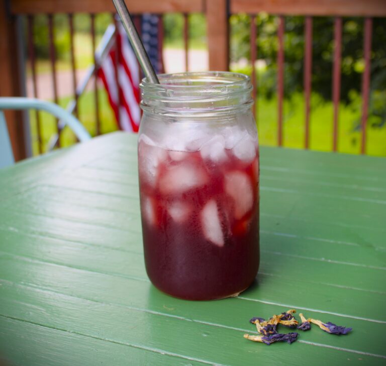 blue butterfly pea kombucha in iced cup