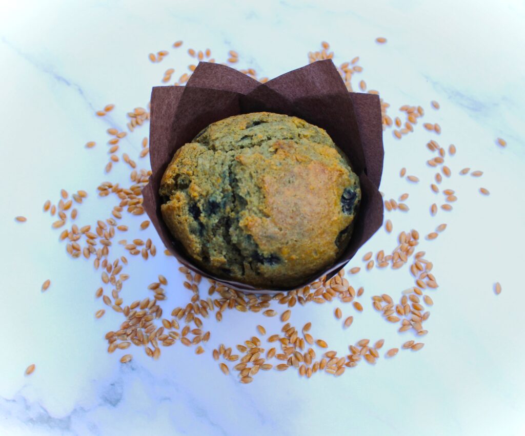 fresh milled flour blueberry muffin