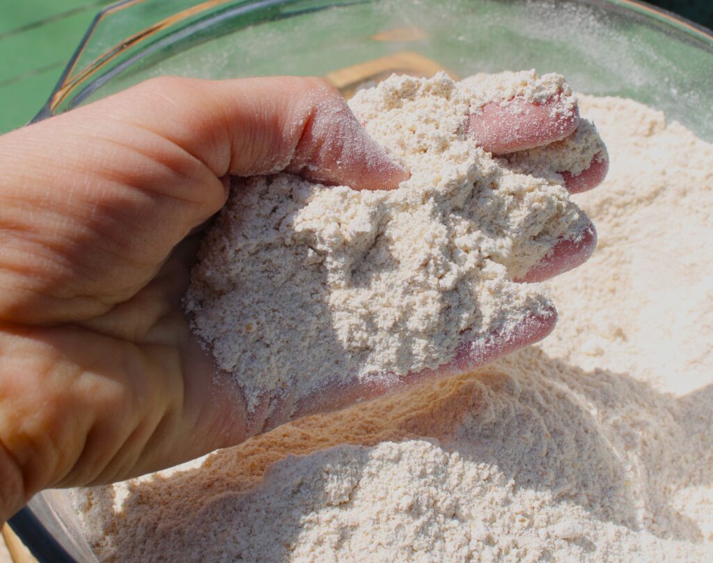 Fresh milled flour in a bowl. Someone is picking up some flour with their hand.