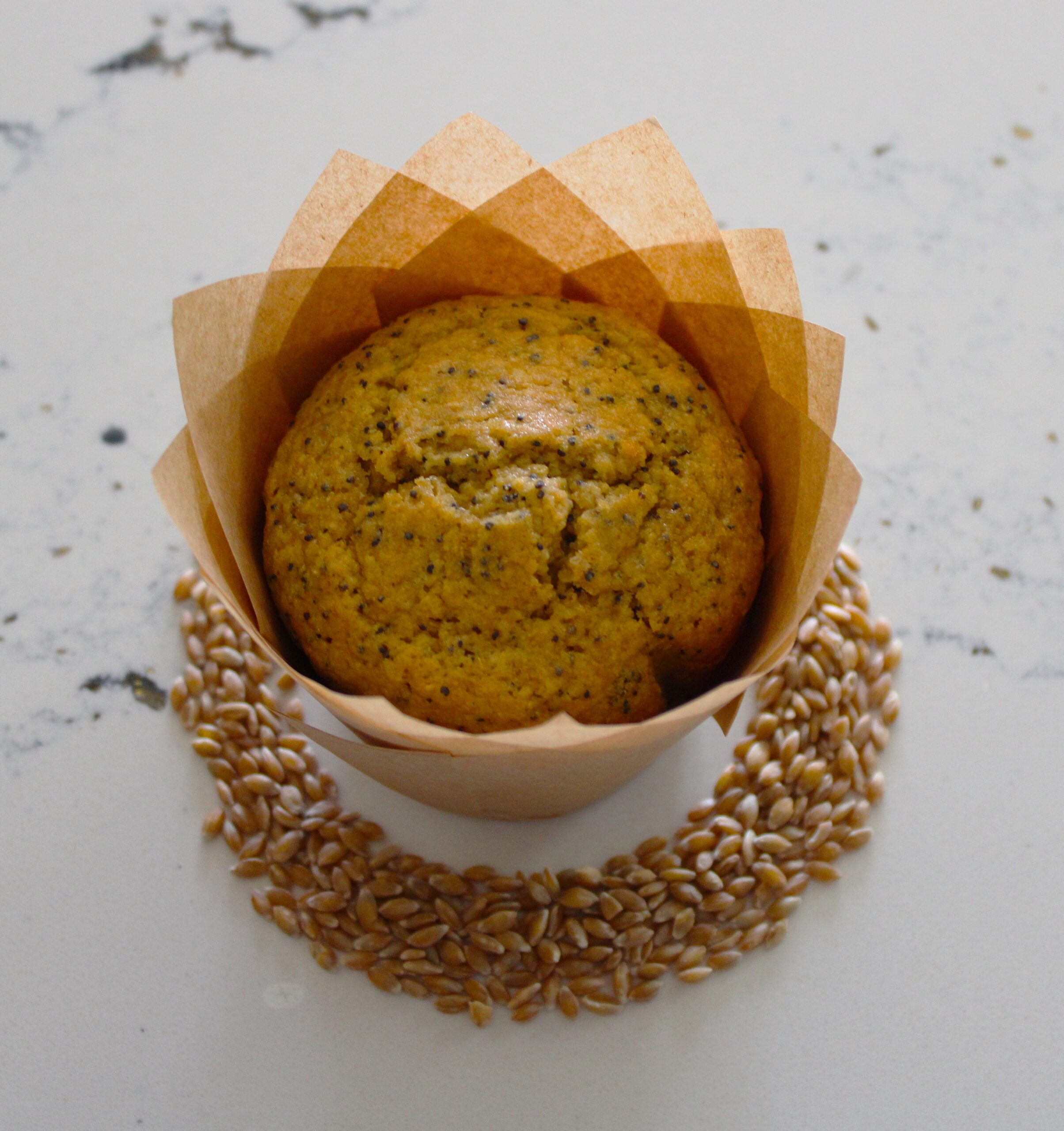lemon poppyseed muffin with wheat berries sprinkled around the muffin on the table.