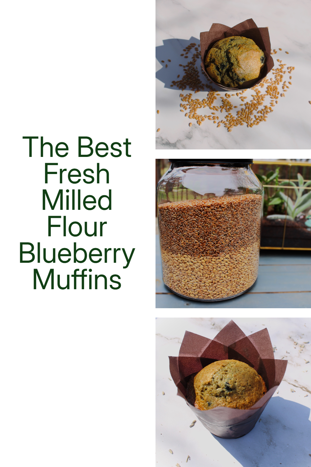 the best fresh milled flour blueberry muffins